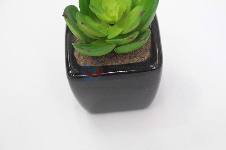 Made In China Wholesale Artificial Succulent Plants Home Decoration