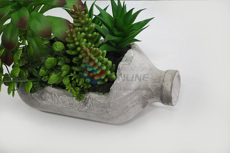 Newest design low price succulent plants bonsai