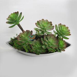 Hot sale plastic succulent plants bonsai