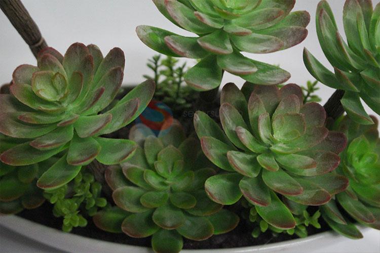 Hot sale plastic succulent plants bonsai