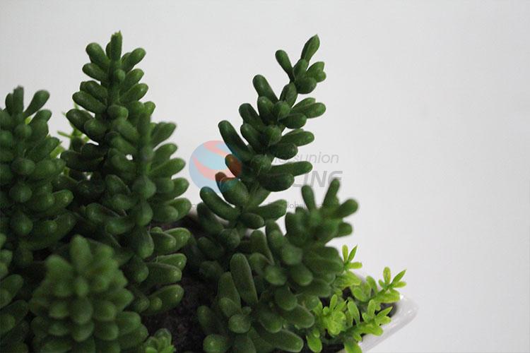 Best selling plastic fake succulent plants bonsai