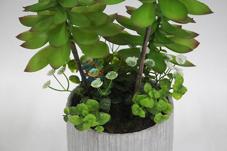 Popular promotional artificial succulent plants bonsai