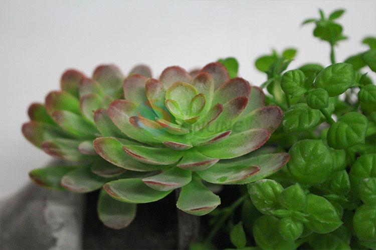 Top quality new style artificial succulent plants bonsai