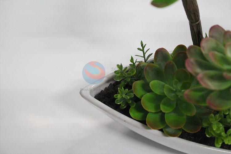 Hot sale plastic succulent plants bonsai