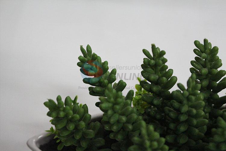 Best selling plastic fake succulent plants bonsai