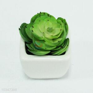 Home decoration <em>plastic</em> succulent plants artificial plants