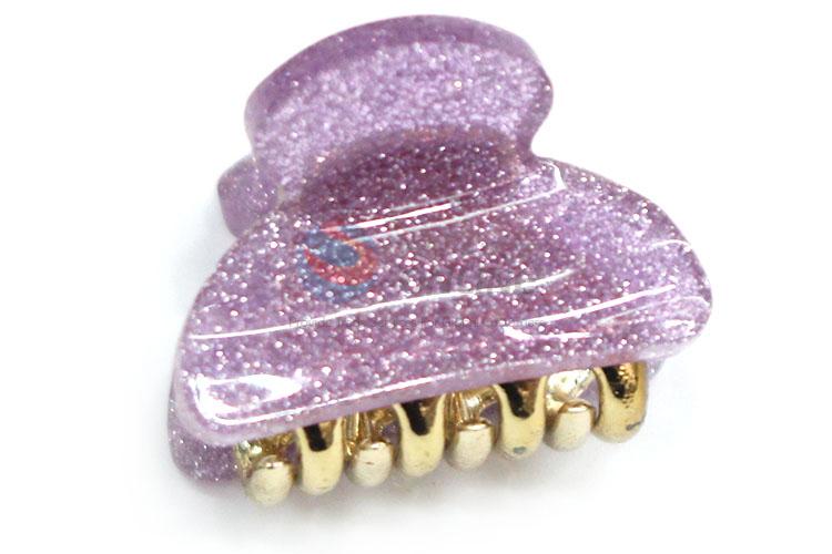 Popular Small Acrylic Hair Claw For Women