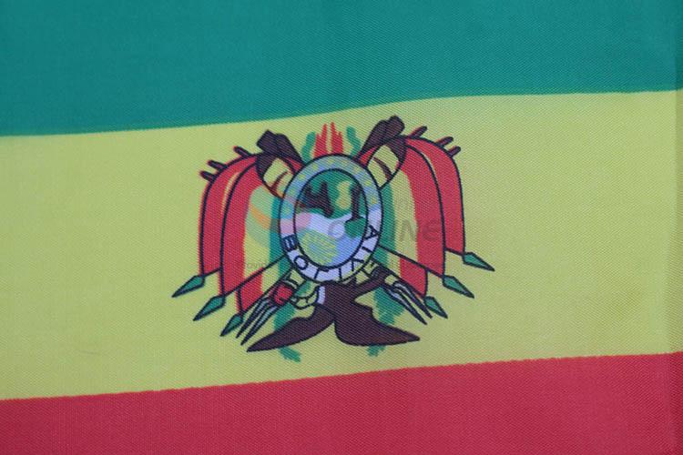 Factory wholesale Bolivia car flag window flag