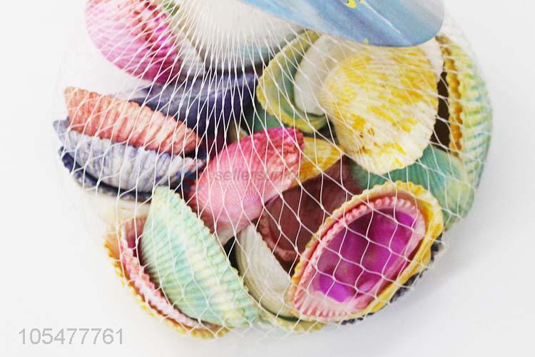 Hot Sale Colorful Sea Shell Decorative Shell Craft