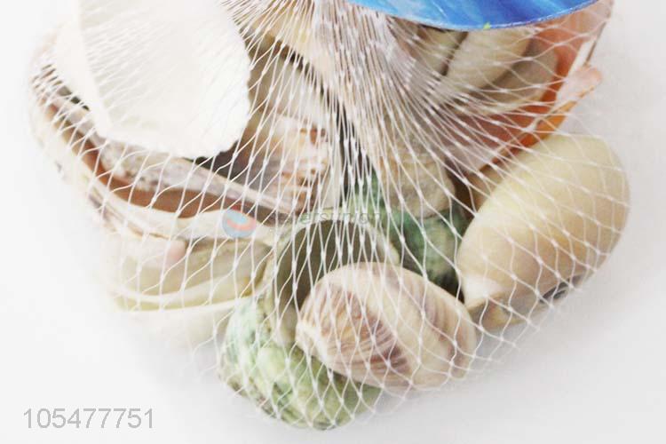 Good Quality Natural Sea Shell Fashion Decorative Craft