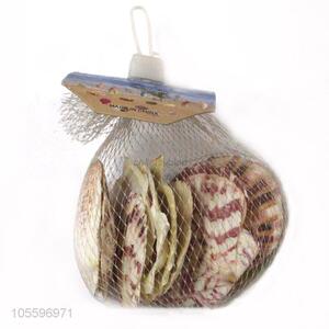 Wholesale Natural Shell Fashion Decorative Craft