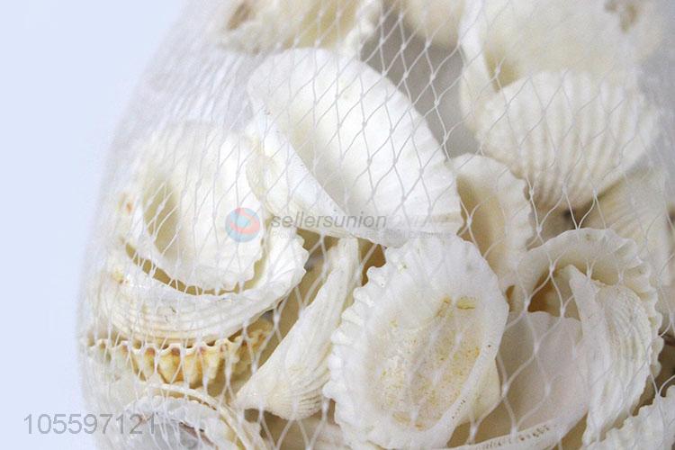 Latest Natural Shell Popular Decorative Shell Craft