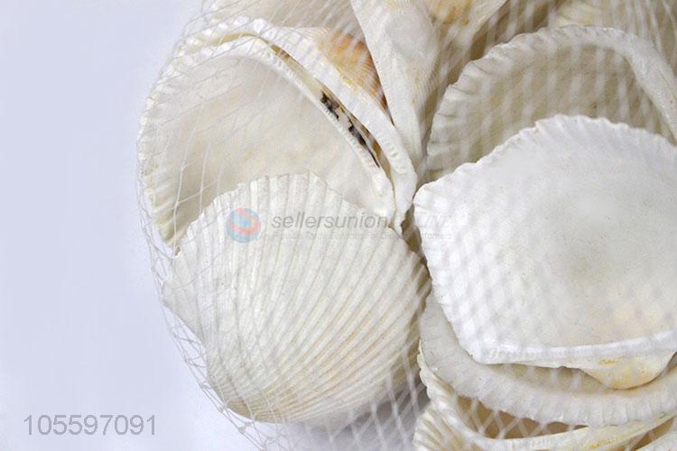 Best Sale Natural Decorative Shell Craft