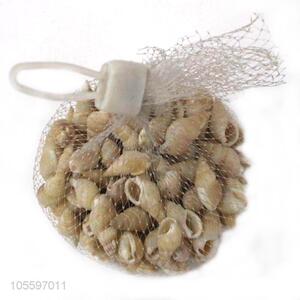 Delicate Design Fashion Shell Craft Decorative Shell