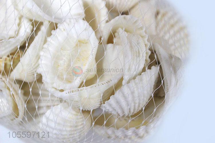 Latest Natural Shell Popular Decorative Shell Craft