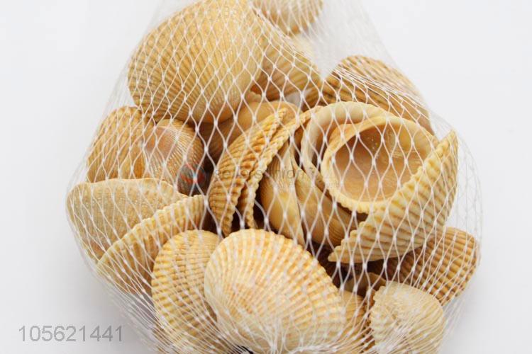 Competitive Price Natural Conch Shells Aquarium Decoration