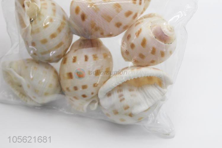 Delicate Design Marine Wedding Decor Shells Craft