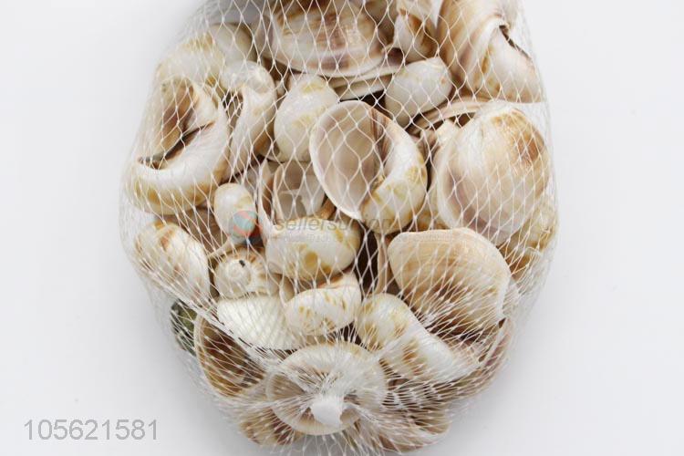 Best Sale Natural Conch Shells Aquarium Decoration