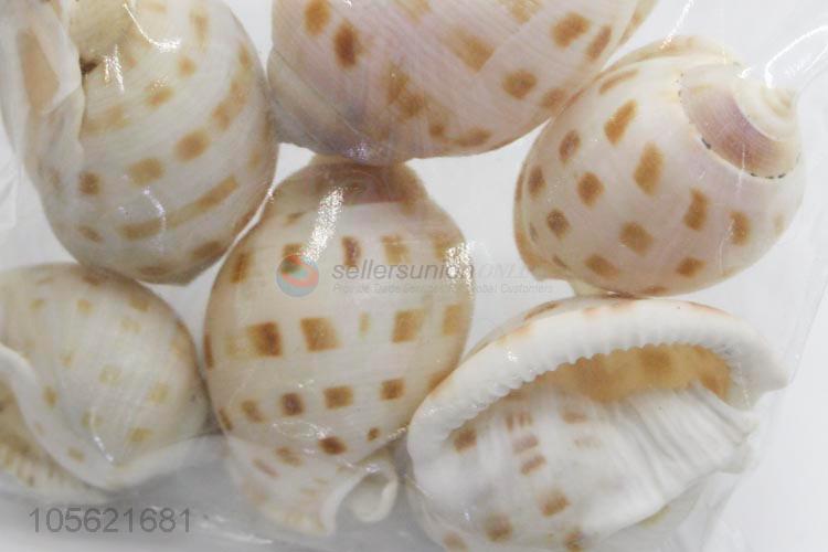 Delicate Design Marine Wedding Decor Shells Craft