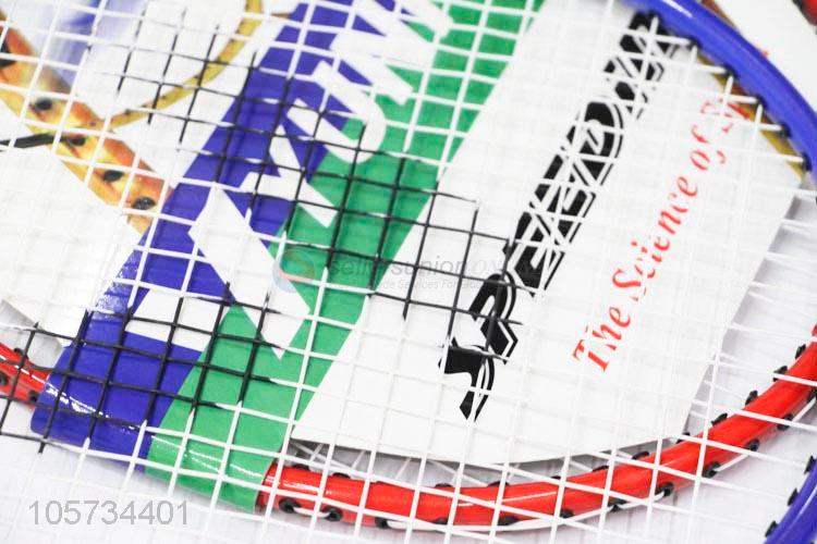 Reasonable Price Badminton Racket for Training Player