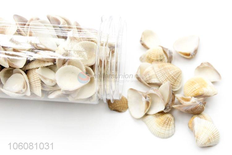 Popular sea shells landscape aquarium decorative