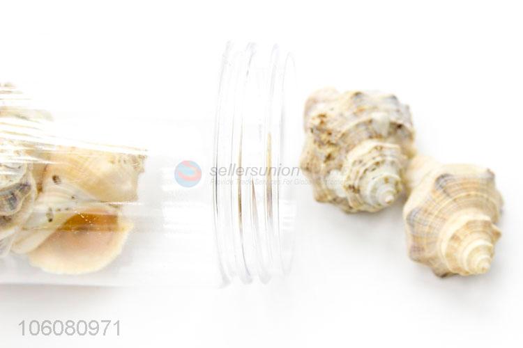 Low price ocean craft sea shells