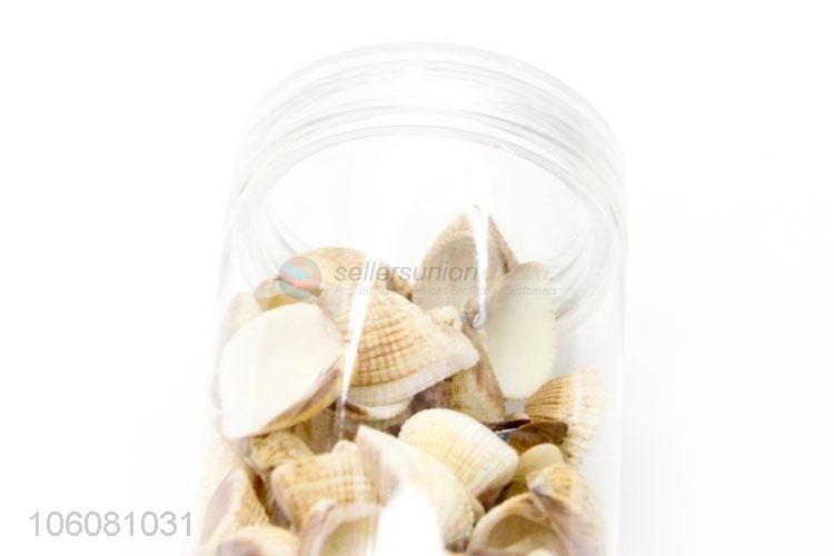 Popular sea shells landscape aquarium decorative