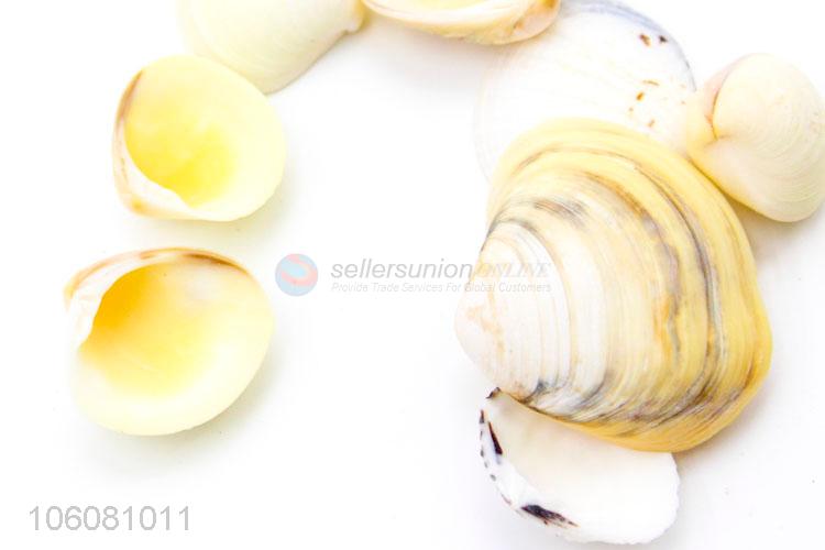 Cheap price natural shell decorative crushed sea shell