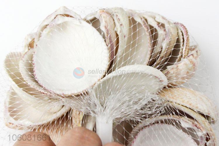 Promotion sea shells landscape aquarium decorative