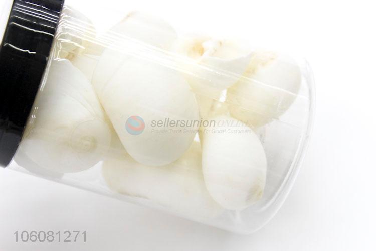 Wholesale price white sea shell best shell conch crafts