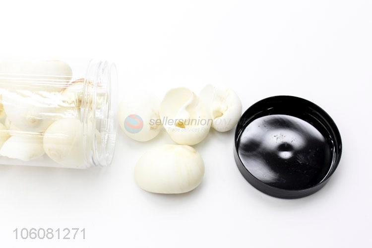 Wholesale price white sea shell best shell conch crafts
