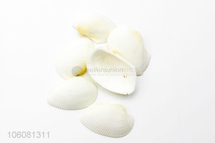 Cheap price sea shells landscape aquarium decorative