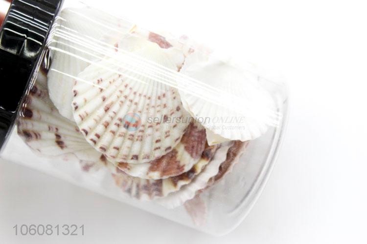 Wholesale sea shells shell craft aquarium nautical decor ornaments