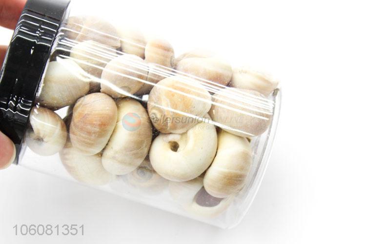 cheap assorted sea shells beach crafts for home decoration