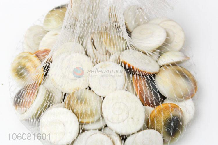 Cheap natural sun shell sea shell stone fossils for home decoration