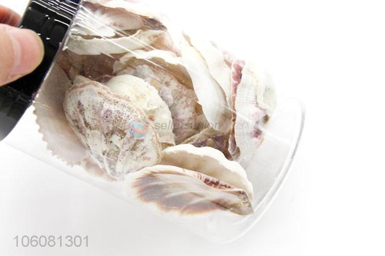 High quality china supplier natural sea shells
