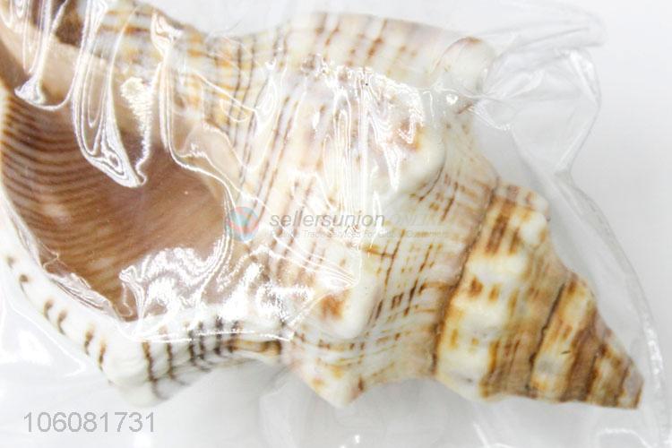 High sales decorative natural crushed sea shell