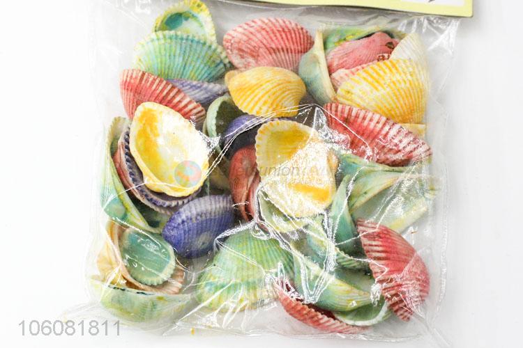 Hot sale colorful sea shell decorative shell craft