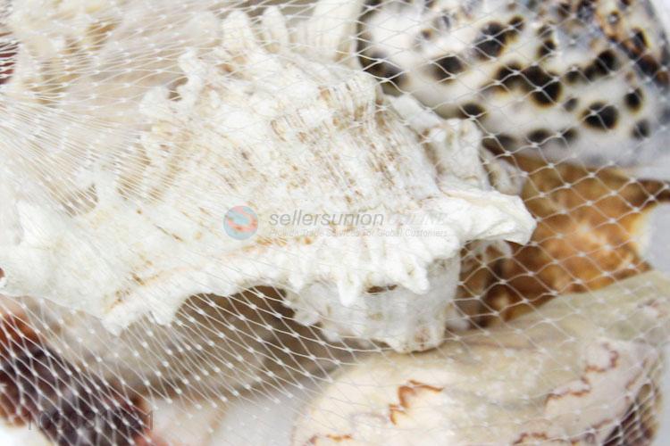 Factory sales natural sea shell natural craft shell in net bag