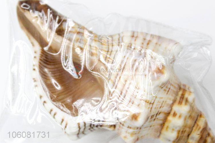 High sales decorative natural crushed sea shell