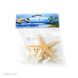 New products natural colorful shells starfish sea decoration