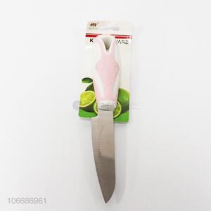 Hot selling stainless steel fruit knife paring knife