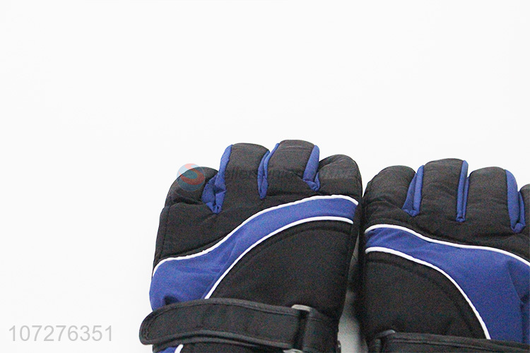 Premium Quality Windproof Waterproof Winter Outdoor Sports Adult Ski Gloves