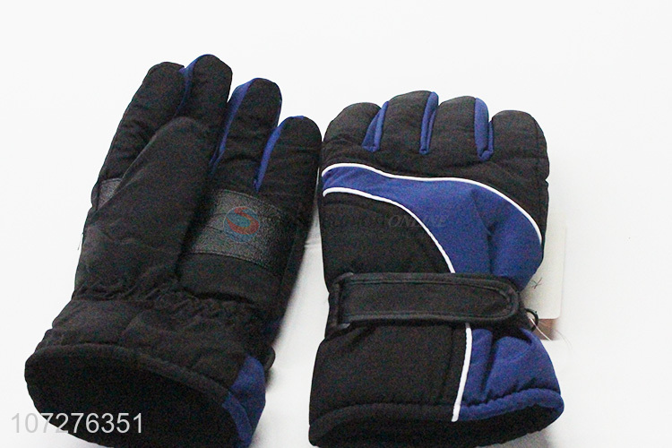 Premium Quality Windproof Waterproof Winter Outdoor Sports Adult Ski Gloves