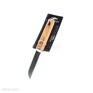 Premium Quality Stainless Steel Fruit Knife With Bamboo Handle