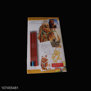 Best Sale Dvd Painting Color Pencils Set