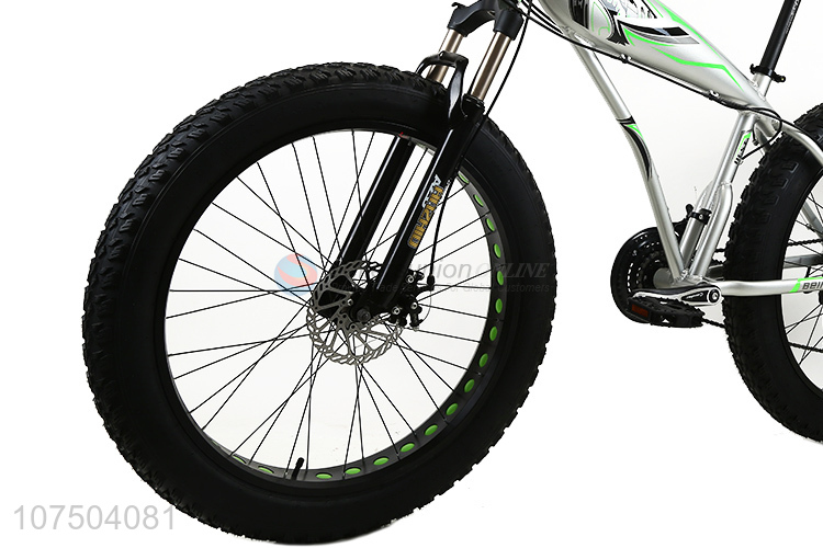 High-End 26 Inch Steel Frame Big Tire Fat Bike Snow Bicycle