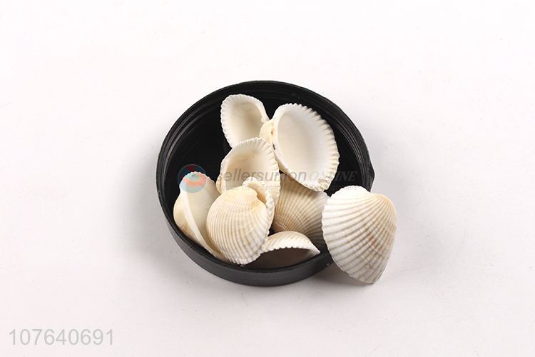 White small natural shell sea view accessories wholesale