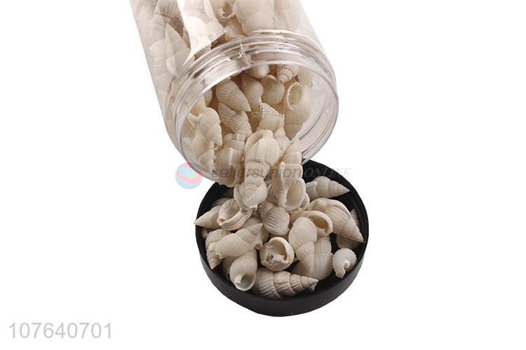 Factory direct sea view layout big white rice snail