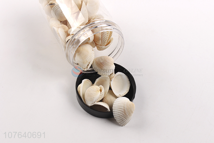 White small natural shell sea view accessories wholesale